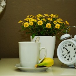 cup-779284_640