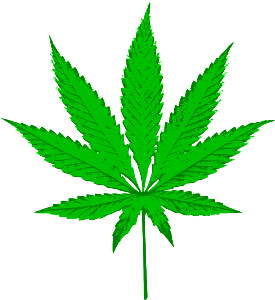cannabis-309723_640