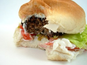 hamburger-350090_640